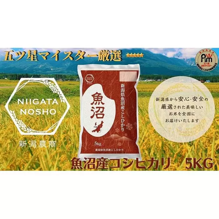 【令和7年産】五ッ星マイスター厳選　魚沼産コシヒカリ　5kg