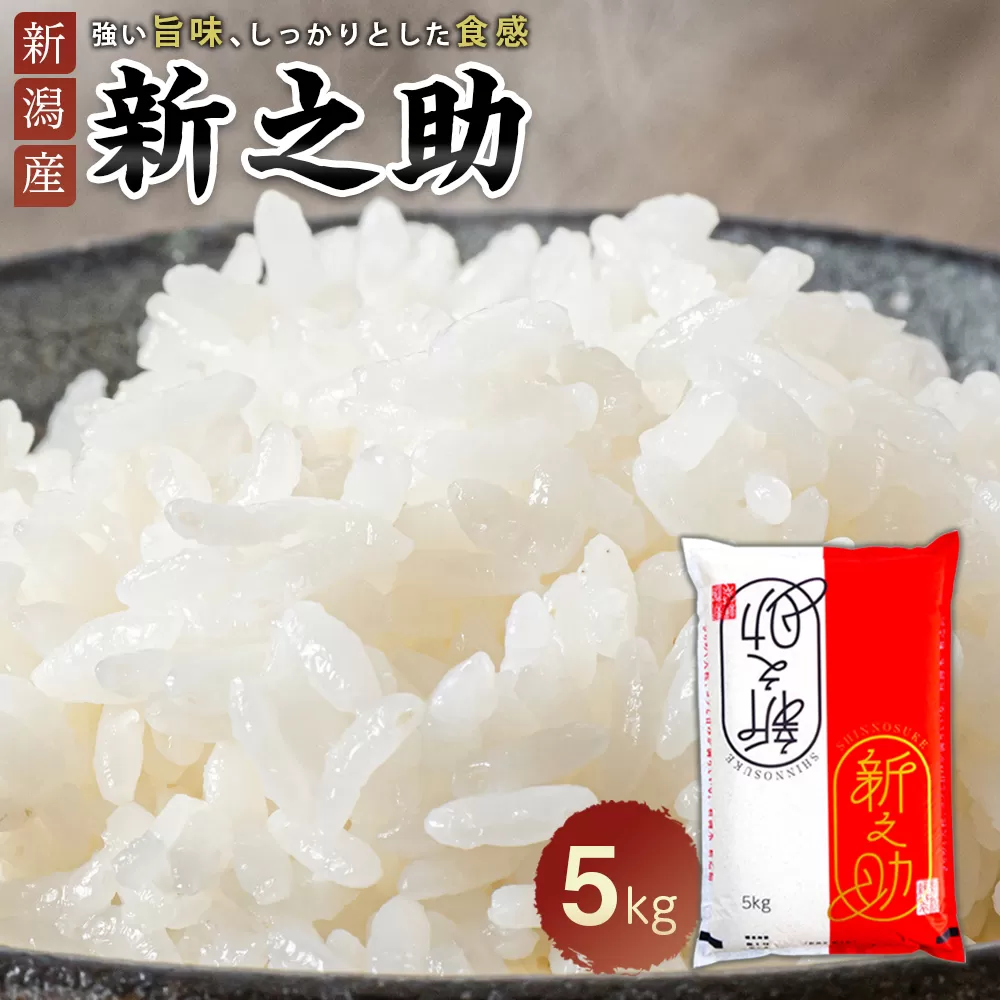 新之助 5kg