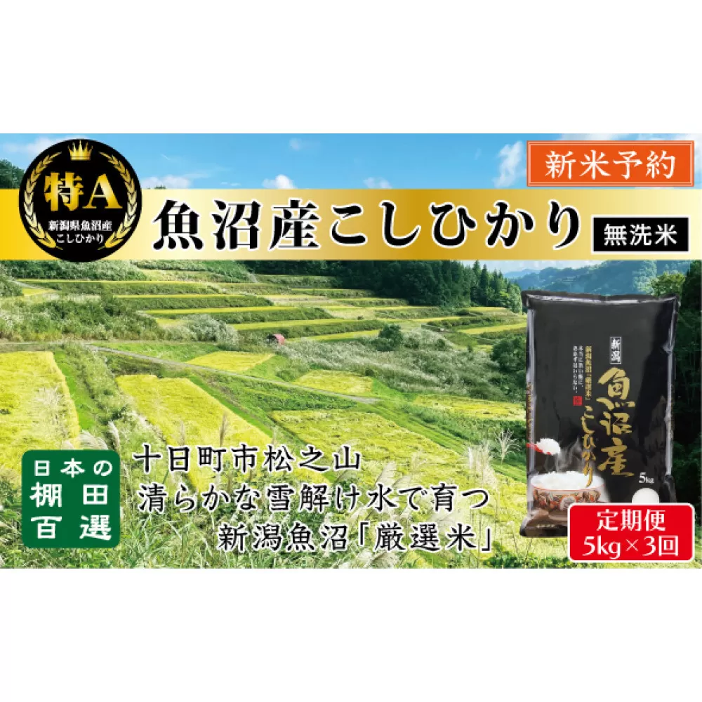 【無洗米】【令和７年産新米予約】【3か月定期便】10月発送開始《食味鑑定士厳選》日本棚田百選・十日町（魚沼）産こしひかり 5kg全3回