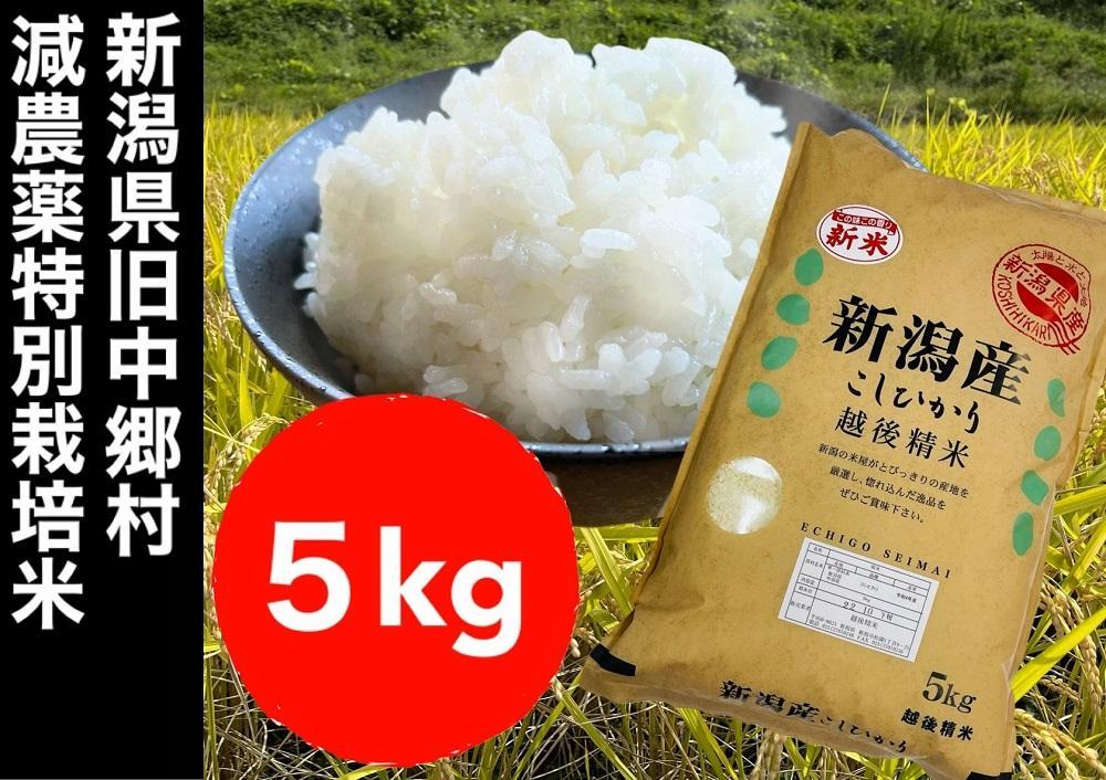 早期予約】【新米】無農薬玄米20kg 20キロ 農家直送 福岡県産