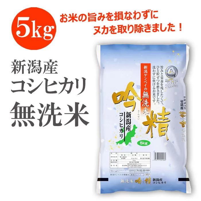 無洗米 吟精 新潟産コシヒカリ５kg 令和6年産 精米