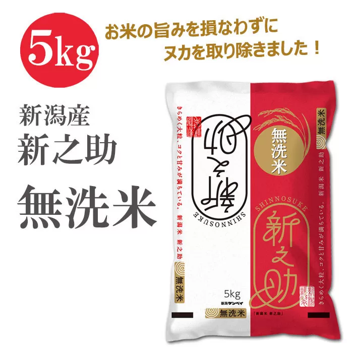 無洗米 新潟産 新之助5kg 令和6年産 精米
