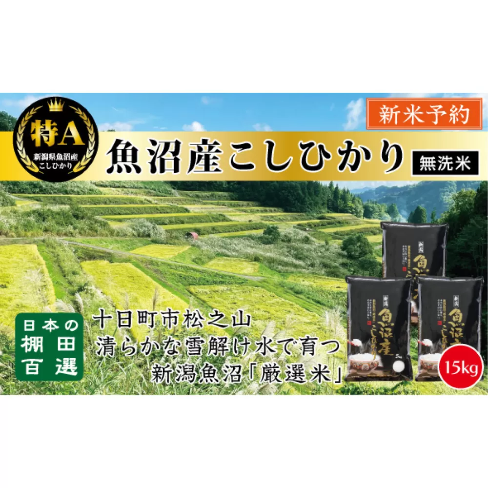 【無洗米】【令和７年産新米予約】【食味鑑定士厳選】　日本の棚田百選　新潟県十日町（魚沼）産　コシヒカリ15kg(5kg×3)