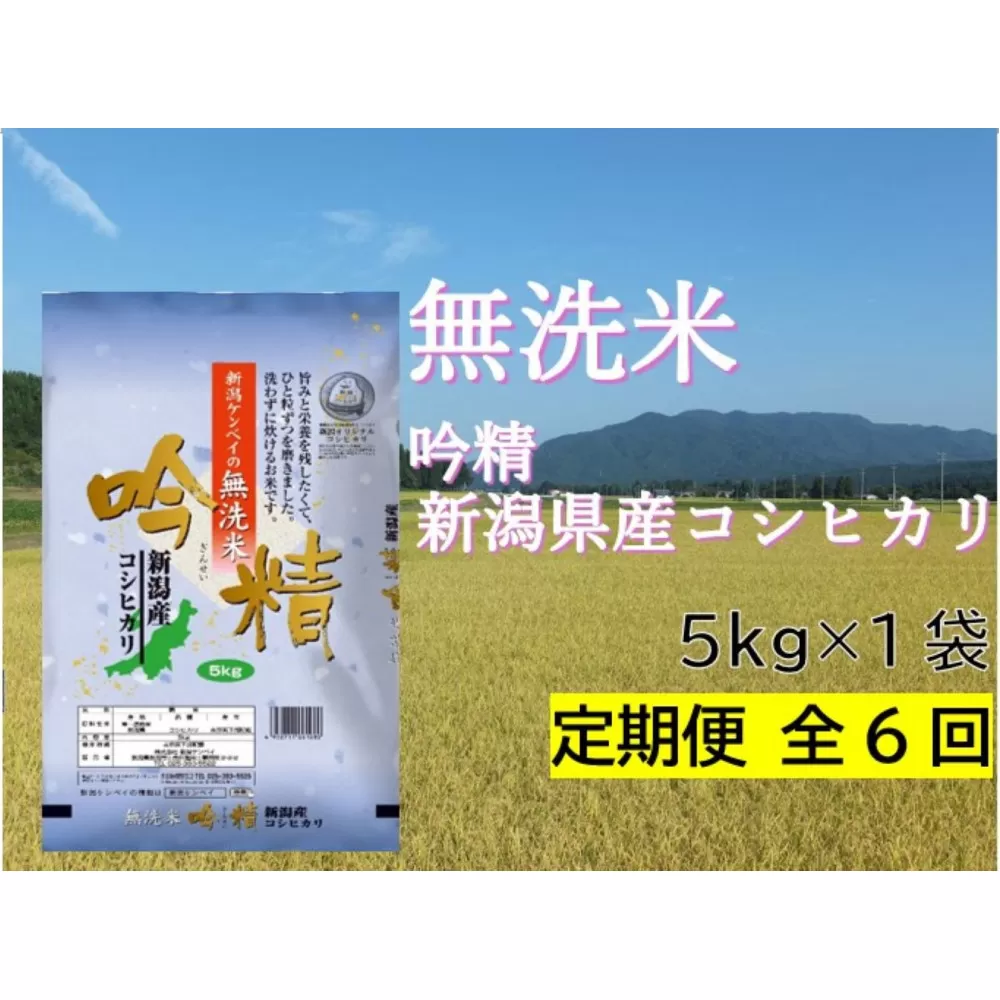 【定期便:全6回お届け】【無洗米吟精】 新潟県産コシヒカリ5Kg