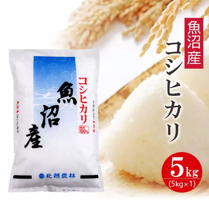 【令和7年産】魚沼産コシヒカリ 5kg 新潟県産 ブランド米 精米 白米
