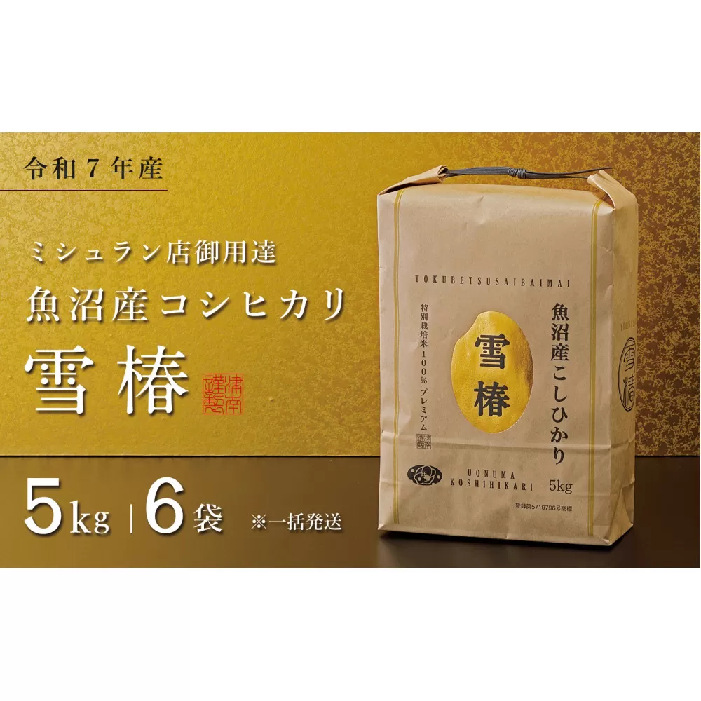 【令和7年産】魚沼産コシヒカリ 雪椿 30kg (5kg×6袋) 特別栽培米　※一括発送