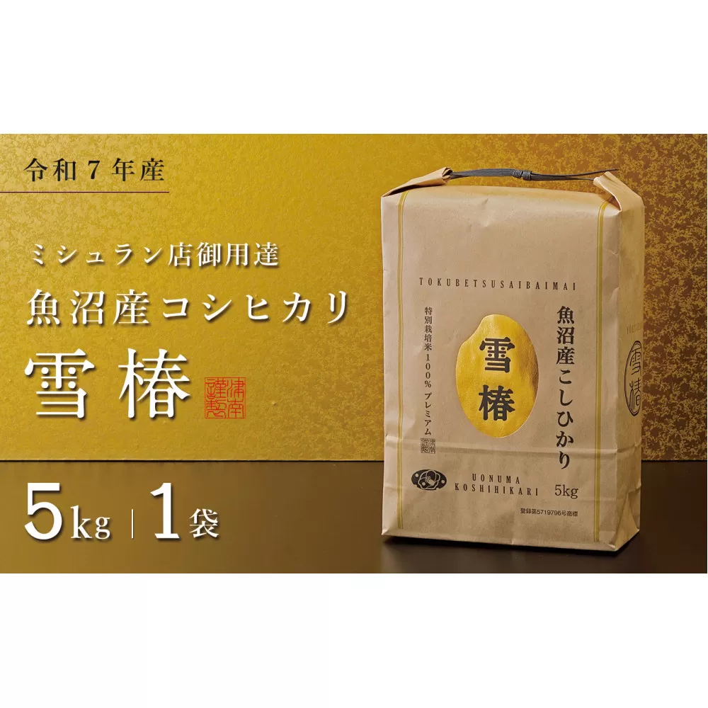 【令和7年産】魚沼産コシヒカリ 雪椿 5kg (5kg×1袋) 特別栽培米
