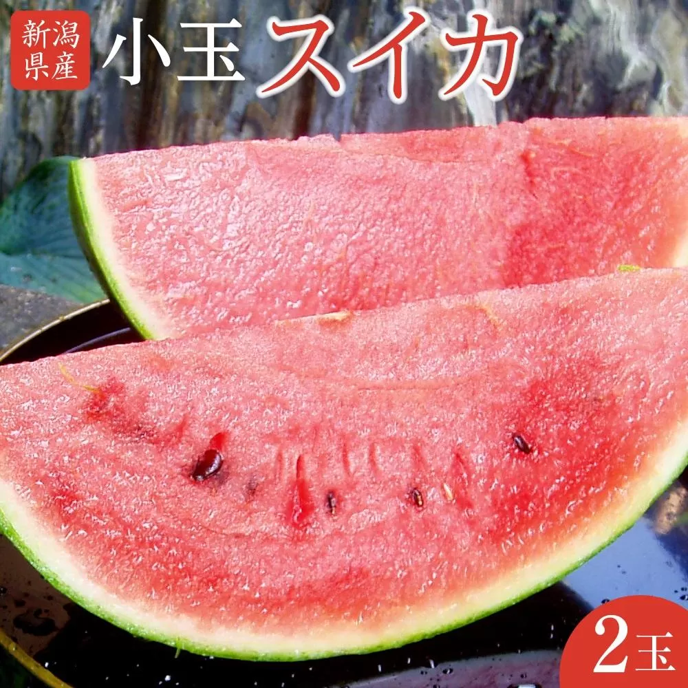 新潟県産小玉スイカ２玉