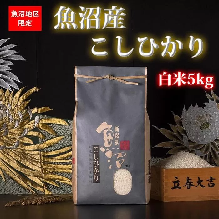 【年内発送】【令和6年産 新米】魚沼産コシヒカリ（白米5kg）【新潟県 特A地区】