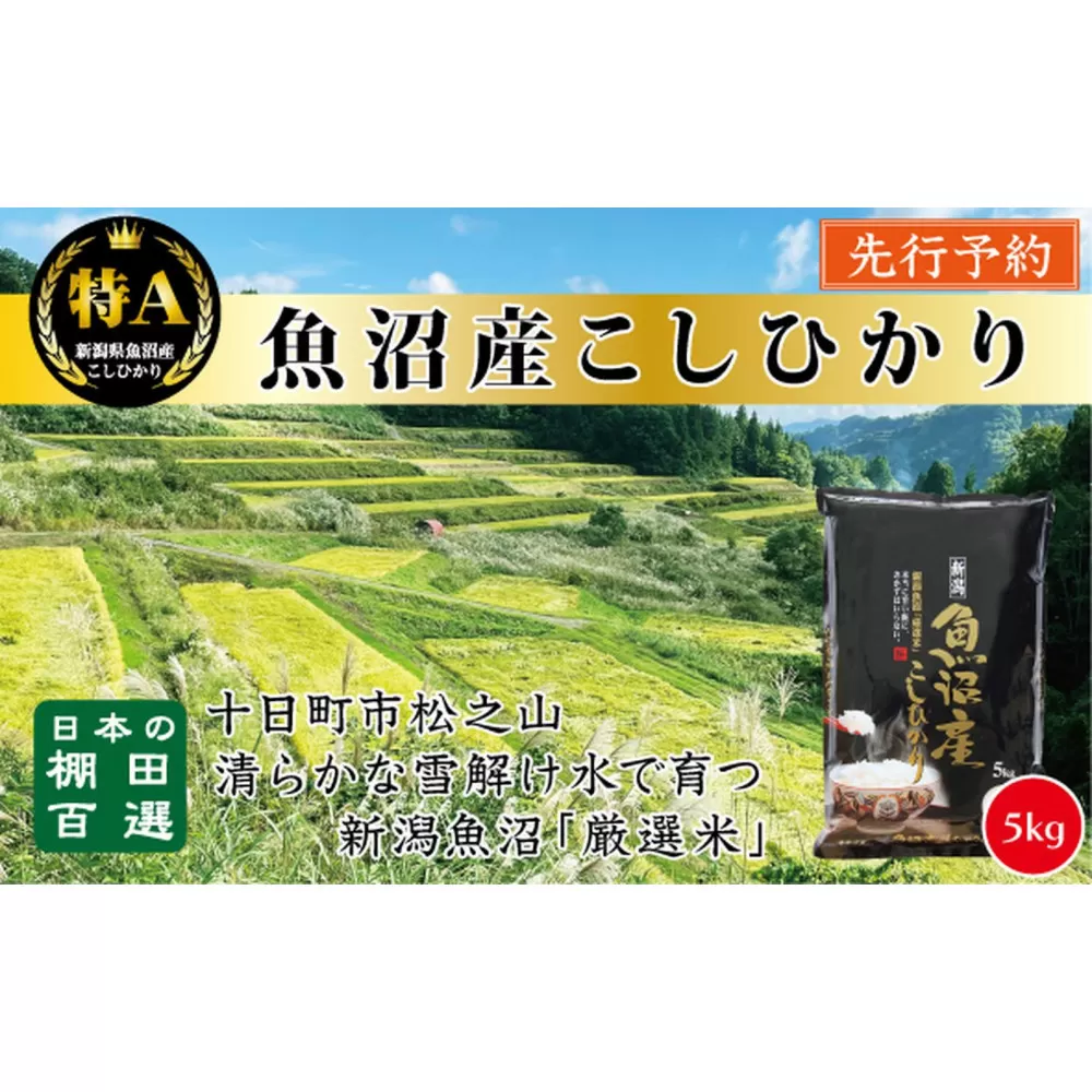 【令和７年産新米予約】【食味鑑定士厳選】　日本の棚田百選　新潟県十日町（魚沼）産　コシヒカリ５kg(5kg×1)