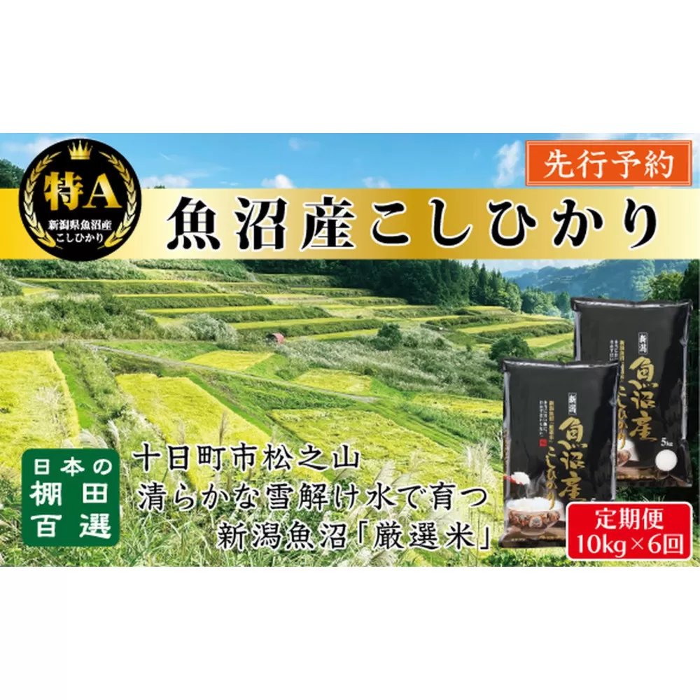 【令和７年産新米予約】【6か月定期便】10月発送開始《食味鑑定士厳選》日本棚田百選・十日町（魚沼）産こしひかり 10kg全6回