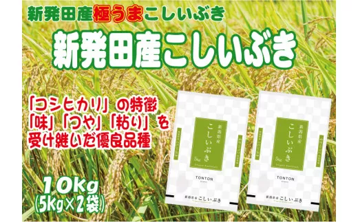 令和5年産 新発田産こしいぶき 5㎏×2 【 新潟県 新潟産 新潟米 新発田産 新発田 お米 米 こしいぶき とんとん市場 せいだ 5kg 10kg 数量限定 玄米 D55_01 】