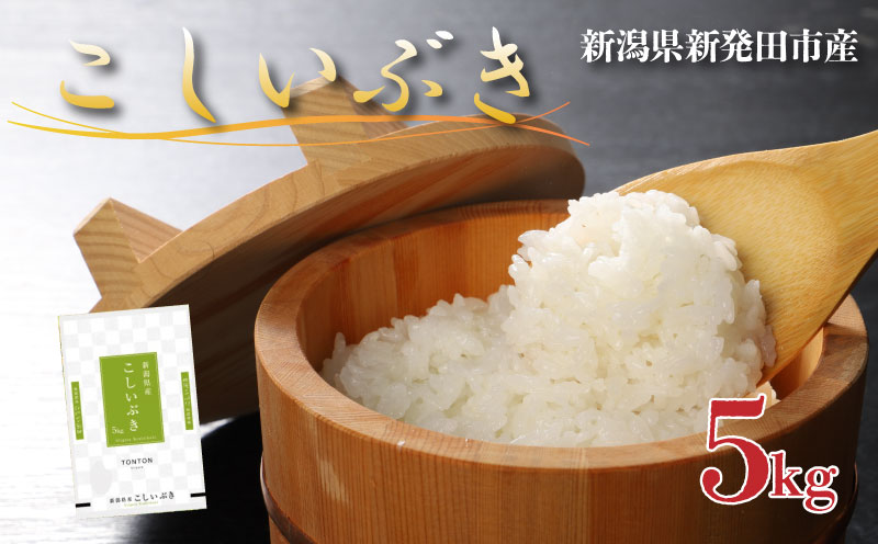 令和6年産 新潟県産こしいぶき 5kg 【 新潟県 新潟産 新潟米
