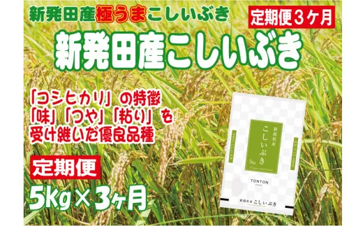 【定期便】 令和5年産 新発田産こしいぶき 5㎏×3か月 【 新潟県 新潟産 新潟米 新発田産 新発田 お米 米 こしいぶき とんとん市場 せいだ 5kg 15kg 3か月 定期便 数量限定 玄米 D58_01 】
