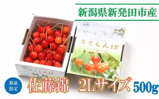 【先行予約】 令和6年産 佐藤錦 2L 500g 数量限定 【 さくらんぼ サクランボ 佐藤錦 竹内果園  季節限定 数量限定 2L 先行予約 C05_01 】