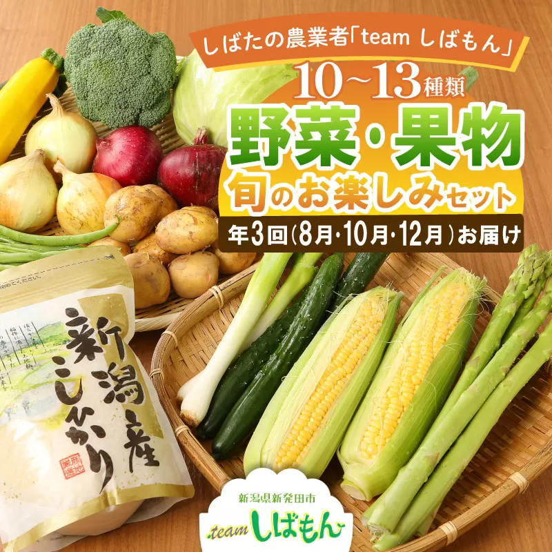 【年3回】teamしばもん 季節の野菜セット 【 野菜 セット しばもん 生産者直送 年3回 定期便 新発田市 新潟県 C17_01 】