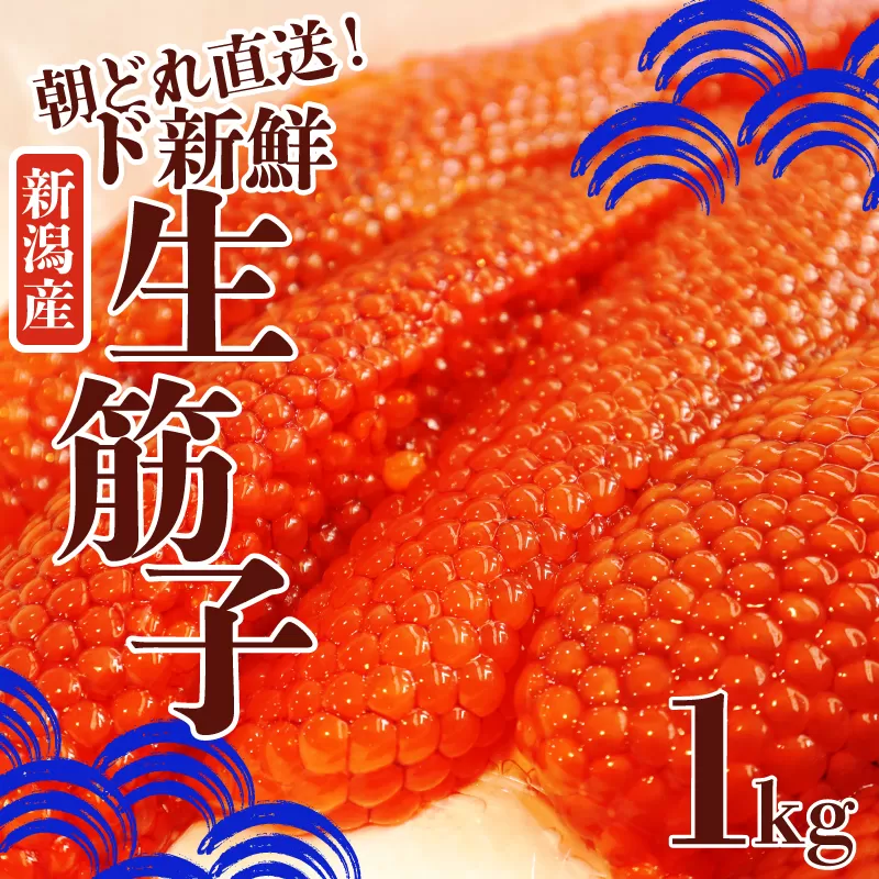 令和6年産 生筋子 1kg【 いくら 鮭 生いくら 海鮮 鮮魚 朝どれ 朝採れ とれたて 国産 新潟県産 お正月 おせち 年末 年始 贈答 予約 いくら はらこ 筋子 魚水島】