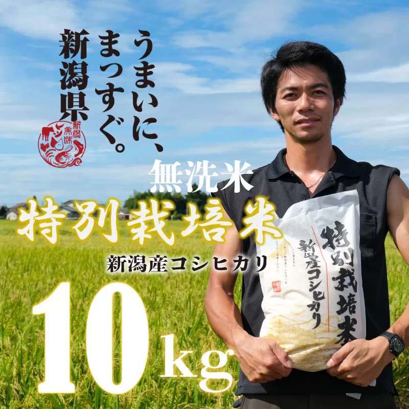 【令和6年産】無洗米 コシヒカリ 10kg 5kg×2袋 特別栽培米 こしひかり ご飯 備蓄 コメ お米 米 こめ 新潟産 新潟米 新潟県 新潟 新発田 新発田市 国産 斗伸 toushin011_02