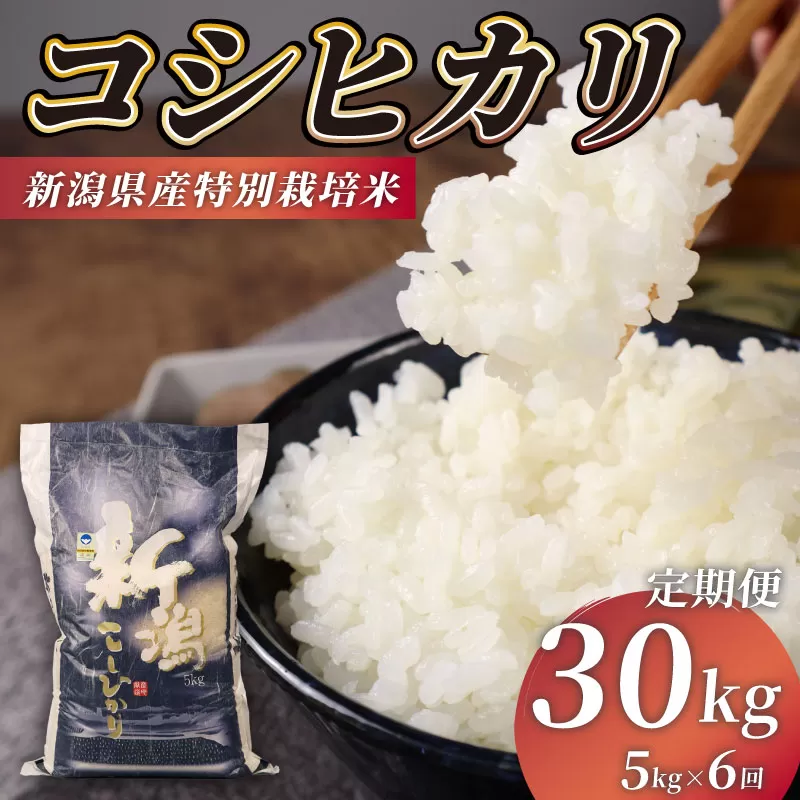 R7年産先行予約 新米 定期便 30kg 5kg×6回 特別栽培米 コシヒカリ コンテスト 入賞米 米 おこめ お米 ブランド米 ご飯 ごはん オニギリ お弁当 玄米 対応可 kome 新米 5kg 送料無料 数量限定 農家直送 産地直送 国産 川瀬農園 新潟 新発田 kawase2002