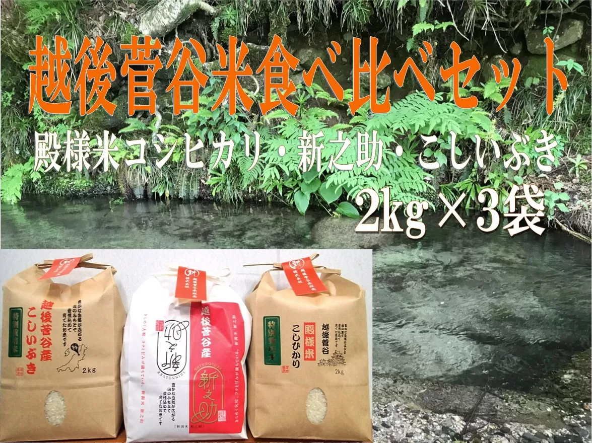 新米 令和6年産 越後菅谷米食べ比べセット 2kg×3袋　【 新潟産 新発田市 米 食べ比べ セット コシヒカリ 新之助 こしいぶき 殿様米 菅谷 2kg 3袋 数量限定 】D24_02