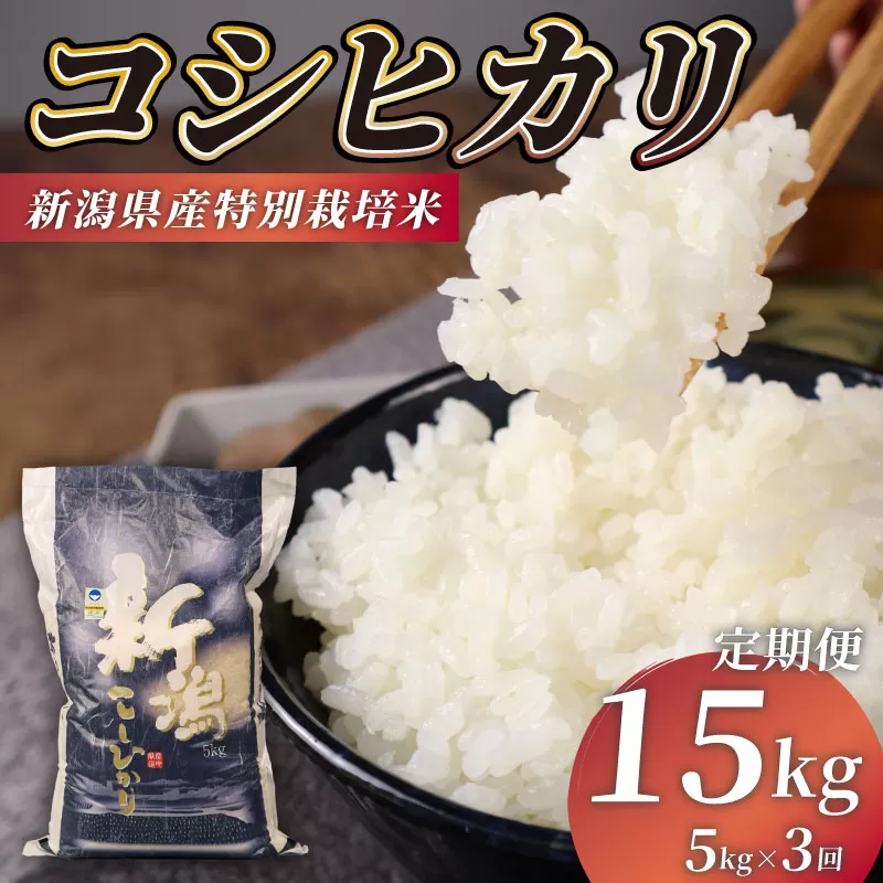 R7年産先行予約 新米 定期便 15kg 5kg×3回 特別栽培米 コシヒカリ コンテスト 入賞米 米 おこめ お米 ブランド米 ご飯 ごはん オニギリ お弁当 玄米 対応可 kome 新米 5kg 送料無料 数量限定 農家直送 産地直送 国産 川瀬農園 新潟 新発田 kawase1002