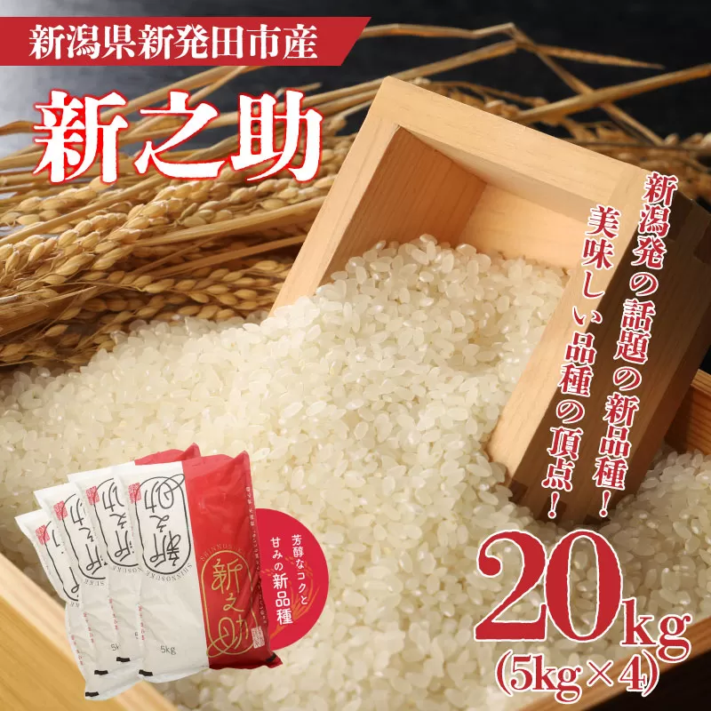 令和6年産 新之助 20kg 新米 お米 ご飯 白米 精米【 新潟 新潟県 令和6年産 新之助 20kg 新米 お米 ご飯 白米 精米【 新潟 新潟県