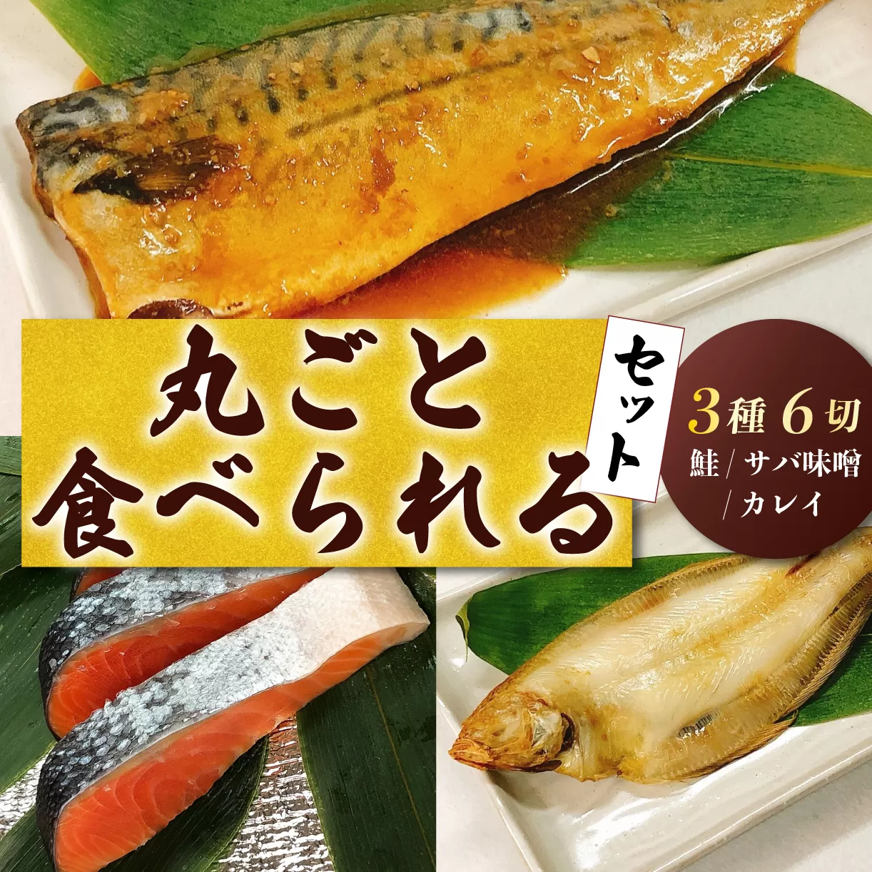 丸ごと食べられる鮭、サバ、カレイセット 【 甘塩 味噌漬け 一夜干し つまみ おかず 時短 鮭 サバ カレイ 佐々木食品 I44_02 】