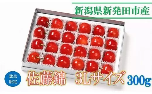 【先行予約】令和6年産 佐藤錦 3L 300g  数量限定【 さくらんぼ サクランボ 佐藤錦 竹内果園 果物の宝石 贈答 プレゼント 季節限定 数量限定 3L 先行予約 C04_01 】