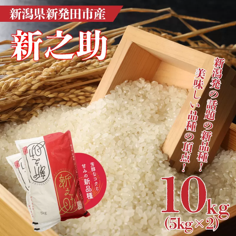 令和6年産 新之助 10kg  新米 お米 ご飯 白米 精米【 新潟 新潟県 米 5kg 2袋 新之助 新発田産 】 watasho008_1