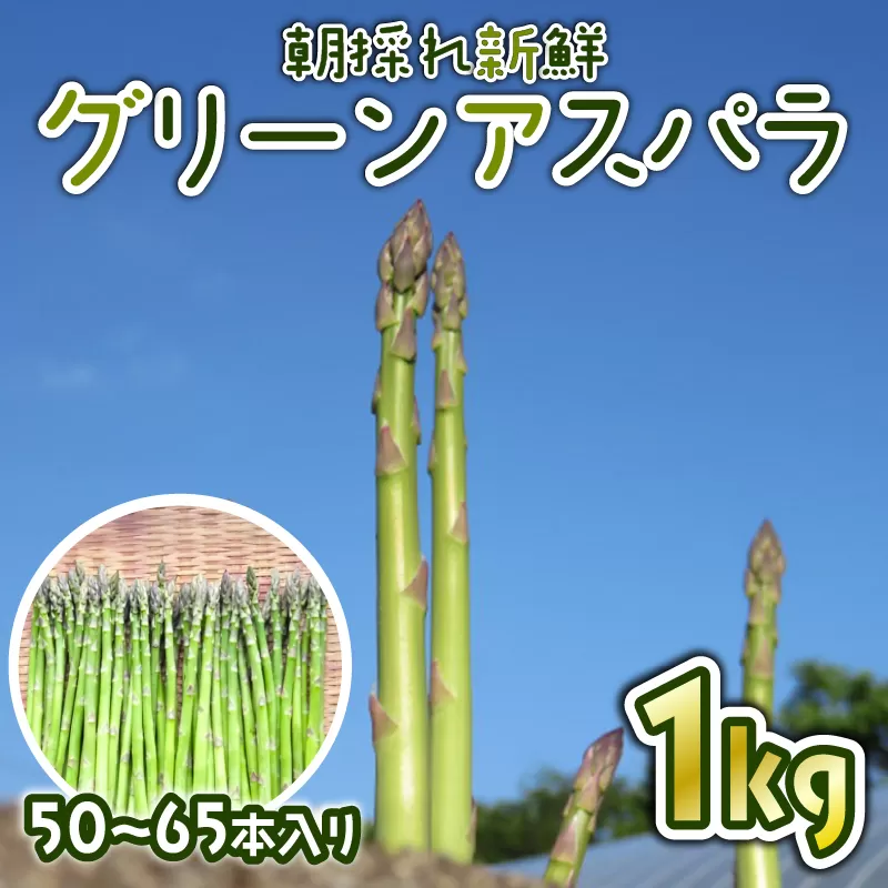 先行予約 グリーンアスパラ 1kg (50~65本入り) 朝採れ 新鮮 令和7年産 アスパラ アスパラガス 甘い 柔らかい 特産品 野菜 春野菜 星野農園 新潟 新潟県 新発田産 新発田市 hoshino001