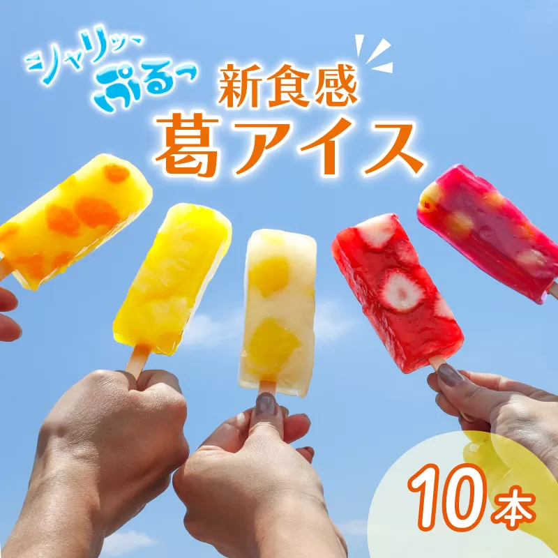先行予約 葛アイス 10本 溶けない アイス フルーツ 果物 葛バー くずバー ジェラート シャーベット アイス 低カロリー 苺 いちご オレンジ バイン バイナップル りんご 林檎 葡萄 ぶどう 果実 たっぷり スイーツセット 本葛 新潟 新潟県 新発田 F06_01 