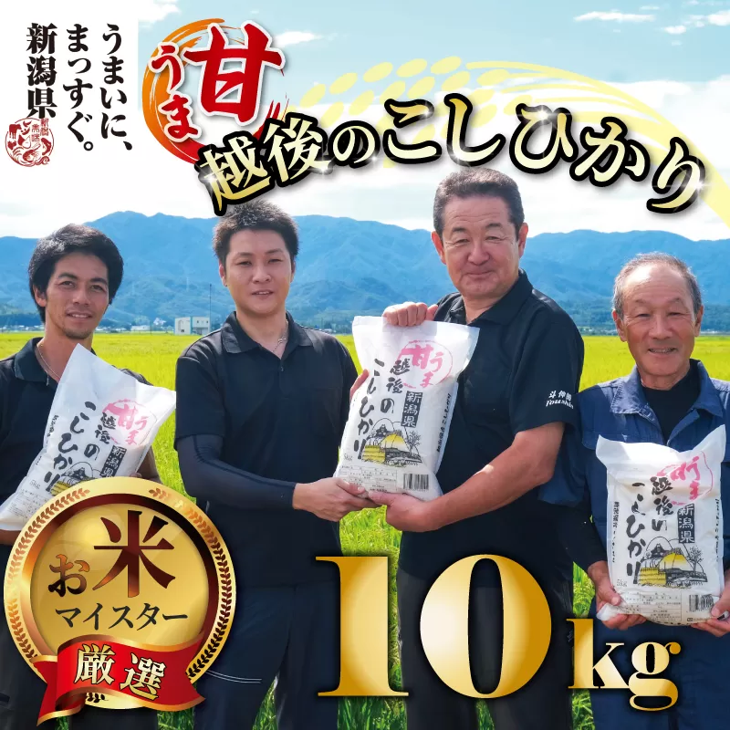 【令和6年産】コシヒカリ 10kg 5kg 2袋 甘うま越後のこしひかり 越後 えちご 特別栽培米 新潟 コメ こめ お米 米 新潟県 新潟米 新発田市 新発田産 toushin014_01