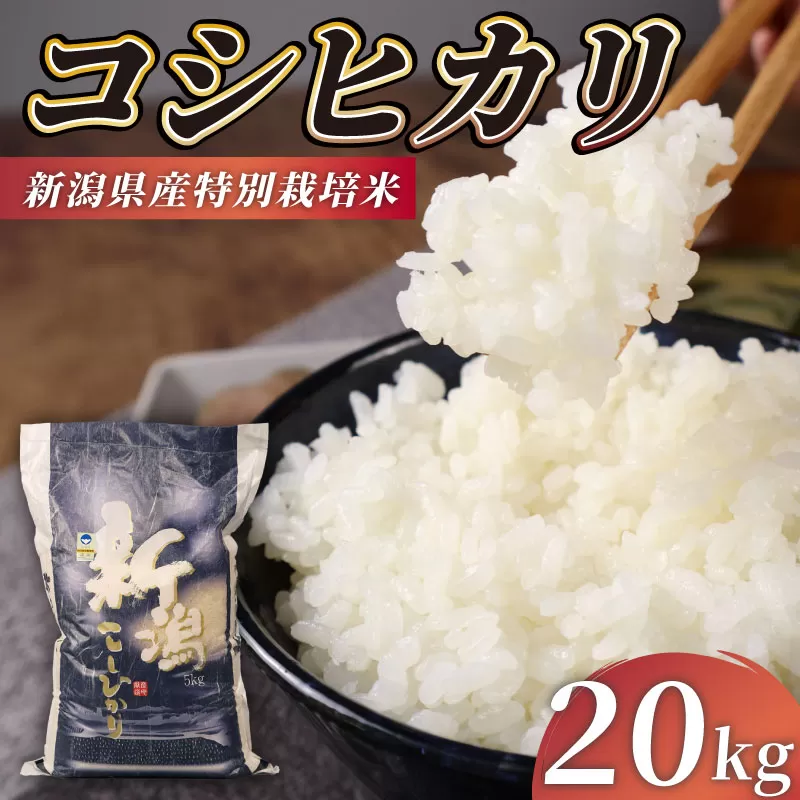 R7年産先行予約 新米 コシヒカリ 20kg 5kg 4袋 特別栽培米 先行予約 コンテスト 入賞米 米 おこめ お米 ブランド米 ご飯 ごはん オニギリ お弁当 玄米 対応可 kome 送料無料 数量限定 農家直送 産地直送 国産 川瀬農園 新潟 新発田 kawase002_02