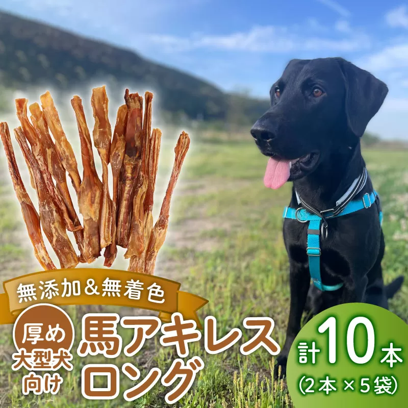ドッグフード 馬アキレスロング 10本 2本入×5袋【 馬 ドックフード アキレス ロング ペット おやつ ペット用品 犬用  無添加 無着色 安心 安全 自然食品 KT012 】