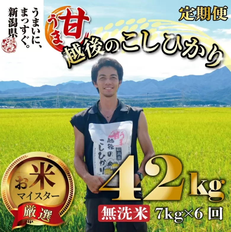 【令和6年産】 無洗米 コシヒカリ 定期便 7kg 6ヵ月 42kg 甘うま越後のこしひかり 越後 えちご 特別栽培米 新潟 コメ こめ お米 米 新潟県 新潟米 新発田市 新発田産 toushin00901