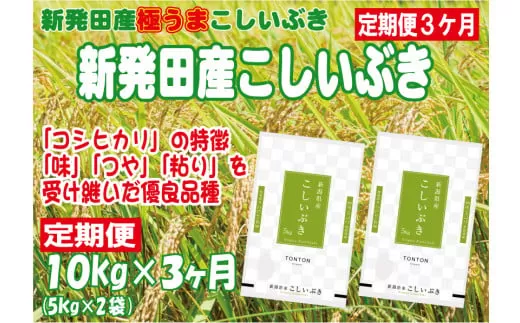 【定期便】 令和5年産 新発田産こしいぶき 10㎏×3か月 【 新潟県 新潟産 新潟米 新発田産 新発田 お米 米 こしいぶき とんとん市場 せいだ 5kg 10kg 30kg 3か月 定期便 数量限定 玄米 D59_01 】
