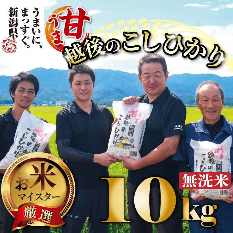 【令和6年産】無洗米 コシヒカリ 10kg 5kg 2袋 甘うま越後のこしひかり 越後 えちご 特別栽培米 新潟 コメ こめ お米 米 新潟県 新潟米 新発田市 新発田産 toushin013_01