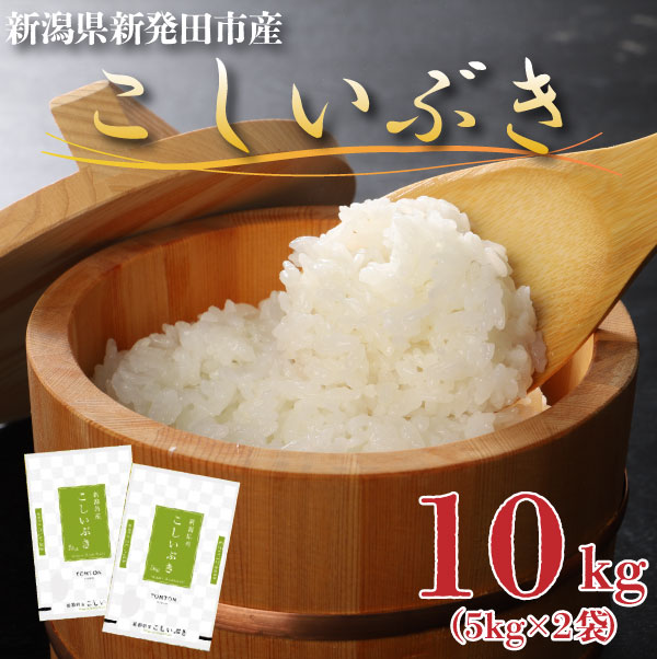 新米 新潟産こしいぶき令和6年 白米20kg