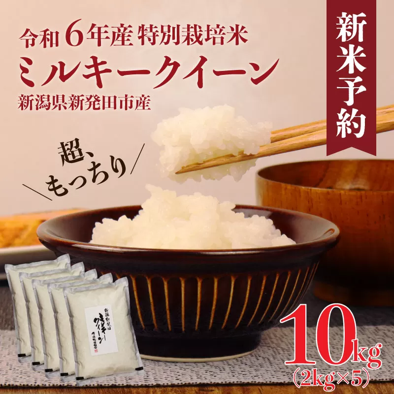 令和6年産 新米予約 特別栽培米 ミルキークイーン 10kg 2kg×5袋 米 白米 ご飯 料理 おにぎり 弁当 新潟県 新潟産 新発田産 ミルキークイーン 佐々木耕起組合 2kg 特別栽培米 新潟県 新発田市 新米 非常食 備蓄 