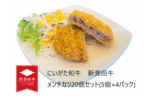 国産 新発田牛 メンチカツ 20個 セット 5個 × 4パック 和牛 にいがた和牛 牛肉 牛 ぎゅうにく 肉 お肉 にく おにく カツ ミンチカツ おかず 揚げ物 フライ 惣菜 お惣菜 冷凍 冷凍食品 加工品 簡単調理 簡単 先崎畜産 新潟県 新潟 新発田市 新発田 H25