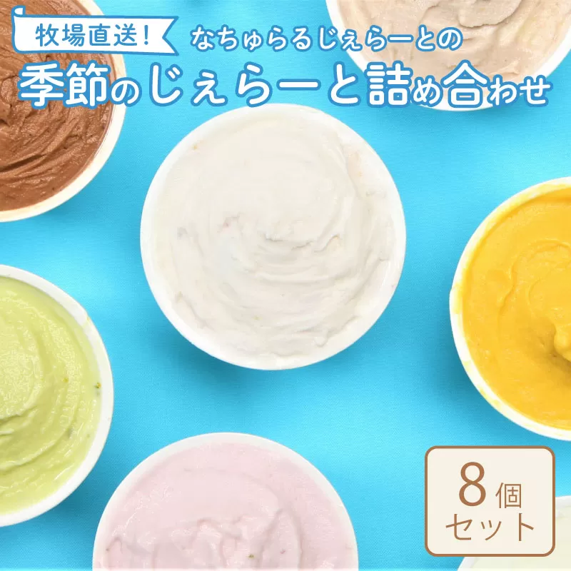 なかの牧場なちゅらるじぇら〜とセット ８個入 【 アイス ジェラート セット 季節 てづくり なちゅらるじぇらーと なかの牧場 8個 F04_01 】 