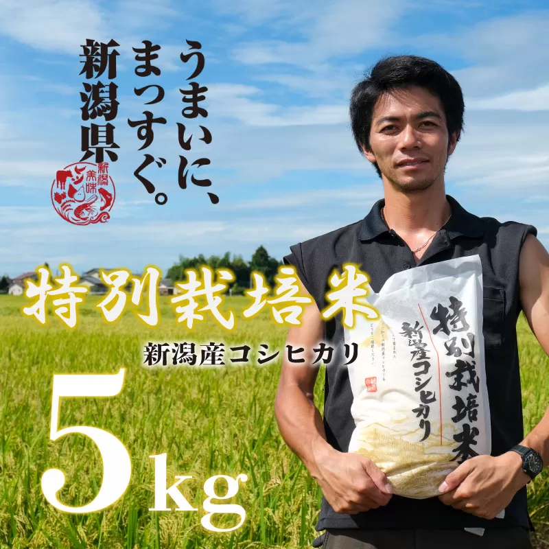 コシヒカリ 5kg 令和6年産 特別栽培米 こしひかり ご飯 備蓄 コメ お米 米 こめ 新潟産 新潟米 新潟県 新潟 新発田 新発田市 国産 斗伸 toushin002_01