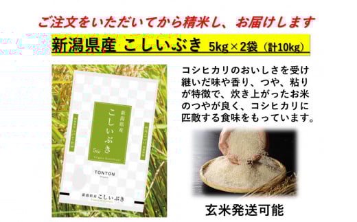 玄米10キロ2袋Sachi Sasaki　新潟県産こしいぶき　6年産 玄米10キロ2袋Sachi Sasaki様専用 新潟県産こしいぶき 6年産