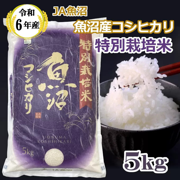 JA16P420 令和6年産 特別栽培米 魚沼産コシヒカリ5kg JA魚沼 白米 魚沼 米