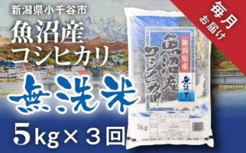 令和7年産 先行予約 魚沼産コシヒカリ 無洗米 定期便5kg×3回 （毎月お届け）米太【0020-KT02DB00-01】