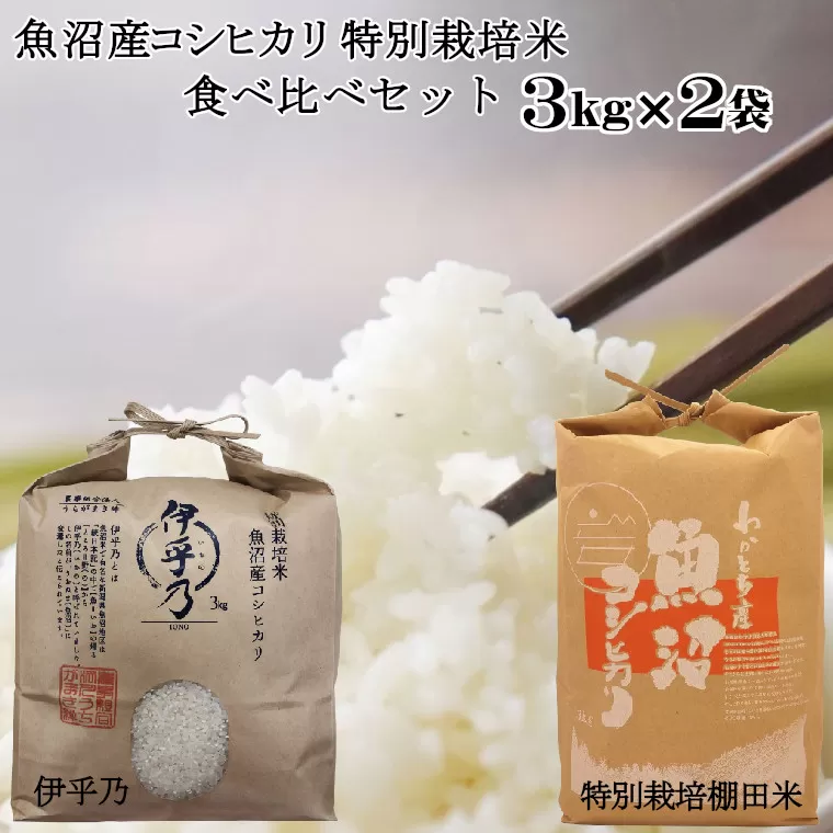 16P121 魚沼産コシヒカリ3ｋｇ2袋 特別栽培米食べ比べセット（Mt.ファーム わかとち）（うちがまき絆）