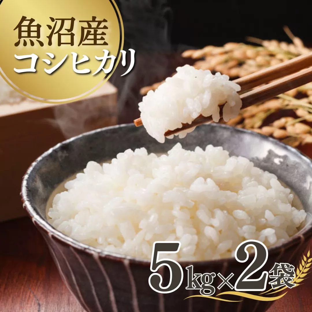 【先行予約】 令和7年産新米 魚沼産コシヒカリ 5kg×2袋 雪室貯蔵 吉兆楽 【0038-0003-01】