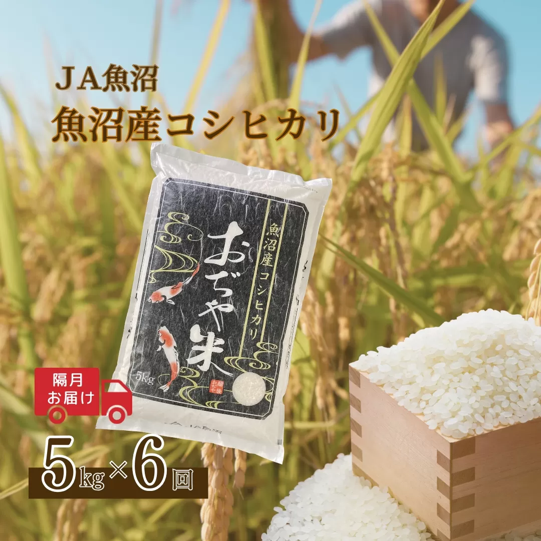 【6か月定期便(隔月発送)】 令和7年産新米 魚沼産コシヒカリ 精米5kg(5kg×1袋)×全6回 ※2025年10月上旬から発送予定 JA魚沼 【0002-JA06DB00-01】