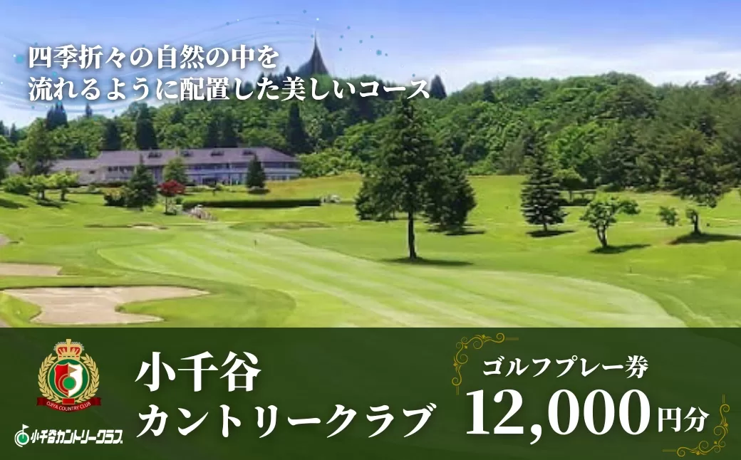 【小千谷カントリークラブ】ゴルフプレー券12,000円(1,000円×12枚) 緑豊かな風景を楽しみながらプレー 小千谷綜合開発 【0044-0004-01】