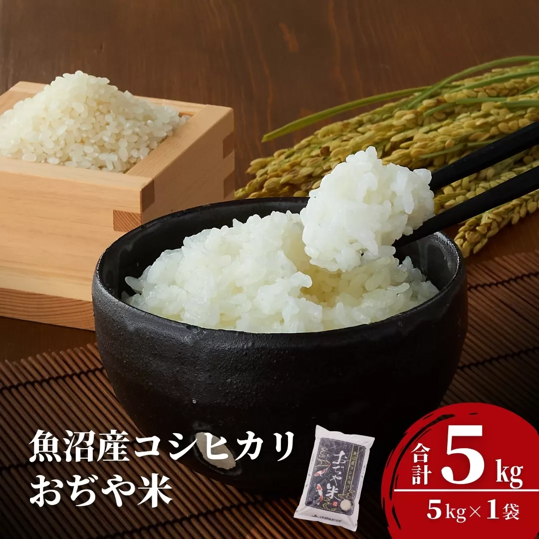 令和7年産 魚沼産コシヒカリ 5kg JA魚沼 【0002-JA02-02】